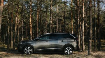 Die besten Familienautos: Sicherheit und Komfort an erster Stelle